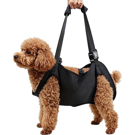 Trasportino regolabile per cani con maniglie, adatto a cani di piccola, media e grande taglia. Pettorina e tracolla di supporto per la riabilitazione, colore nero. (1/5)