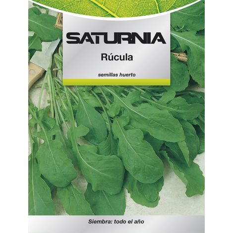 Semi di rucola (9 grammi) (1/2)