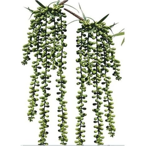 2Pcs Artificielle Suspendus Succulentes Faux Burro's Tail Picks Trailing String of Pearls Succulents Faux Verdure Floral Arrangement (1/4)