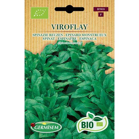 Graines Epinard Monstrueux VIROFLAY