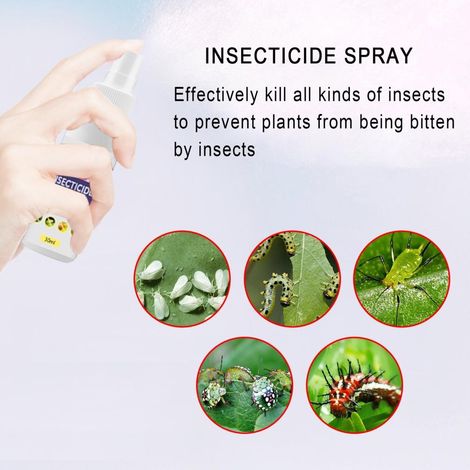 Spray anti-insectes pour plantes fleuries et potées, lutte contre pucerons et araignées (1/5)