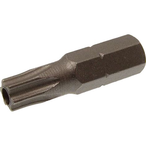 Embout Torx T25x25mm ACTON 3604525 (1/2)