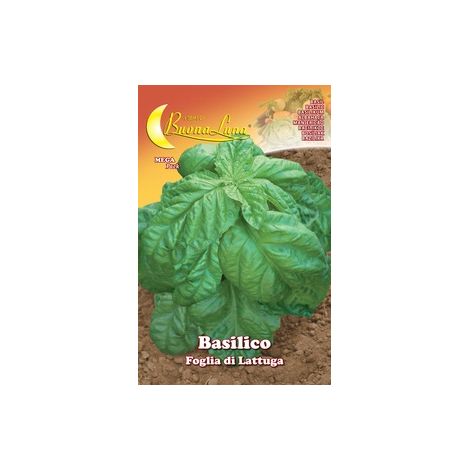 Hortus Buona Luna 3 gr semi di basilico foglia lattuga seminare orto giardino (1/2)