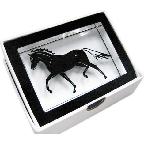 Cubo di vetro con cavallo