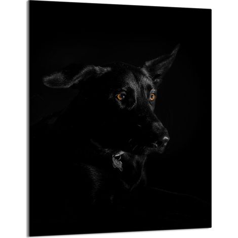 TABLA DE CORTAR DE VIDRIO 40x52 Perro (1/5)
