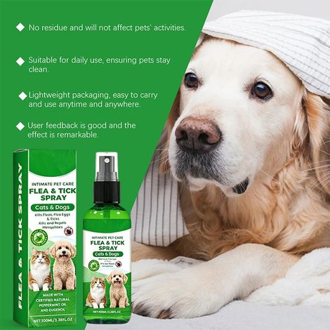 Spray anti-puces et tiques pour animaux de compagnie, convient aux chats et aux chiens, nettoie en douceur le pelage et la peau. -- AKRACING (1/4)