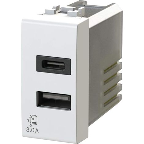 Bloc d'alimentation USB 3 A 2 sorties sur module unique avec connecteur type A et type C compatible Bticino LivingLight Blanc (1/5)