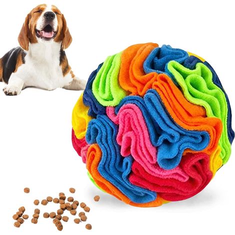 Balle à renifler pour Chien, 10 cm Jouet interactif pour Chien (1/5)