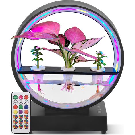 Zimmerbrunnen mit Bluetooth-Lautsprecher und LED-Lichtring mit weißem Rauschen, hydroponisch (25 cm) (1/5)