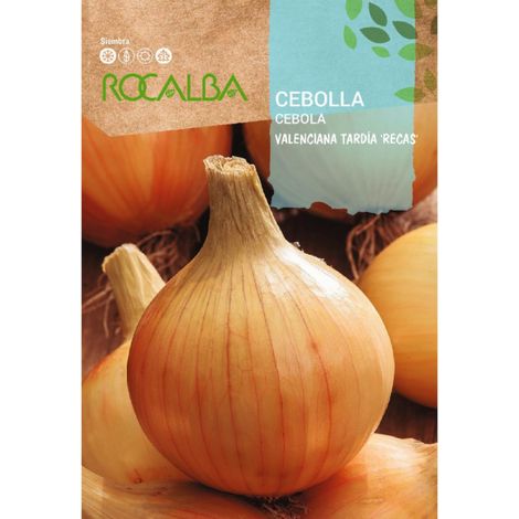 Rokalba Seeds Valencian Zwiebel "reca" 25 g, Pack 5x