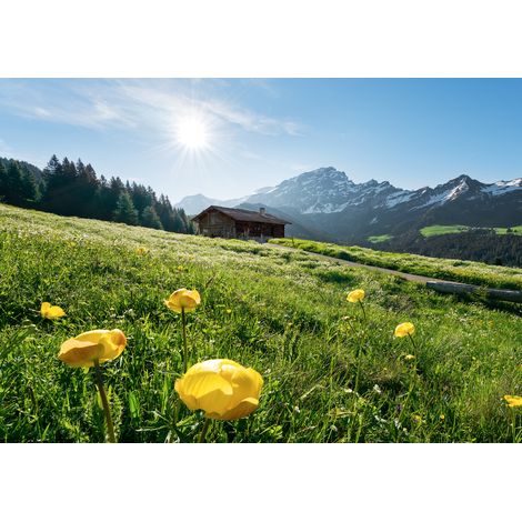 Papier peint panoramique naturel Alpenglück (1/4)