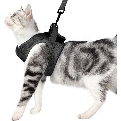 Comfortable and Breathable Anti Escape Velcro Powerful Adjustable Pet Accessories Cat Harness(M) (1/5)