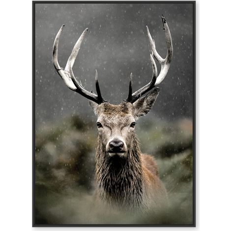 Amadeus - Toile cerf dans les buissons 80x120 cm (1/3)