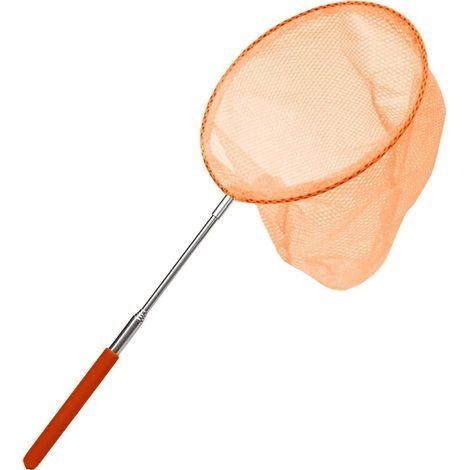 Épuisette télescopique pour Enfants Filet de pêche Filet de pêche pour Attraper Les Insectes, Les Insectes, la pêche, Le Jardin, la Piscine Filet de pêche d'extérieur 3785 cm (1/3)
