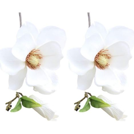 Lot de 2 fleurs de magnolia artificielles blanches en soie pour décoration d'intérieur, salon, chambre, jardin, fête, mariage, vase pour table de bureau, fleurs artificielles, produits de décoration (1/5)