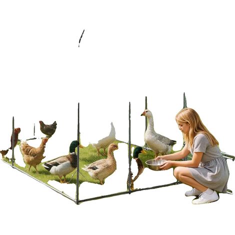 Cage à volaille, construction métallique, design à entrer, Vert (1/2)