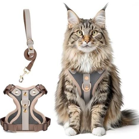 Ensemble Harnais et Laisse pour Chat Anti-Fuite, Bordure en Cuir Microfibre Premium, Harnais Réfléchissant Réglable pour Chats, Harnais pour Chaton Respirant sans Traction avec Maille Douce (1/5)