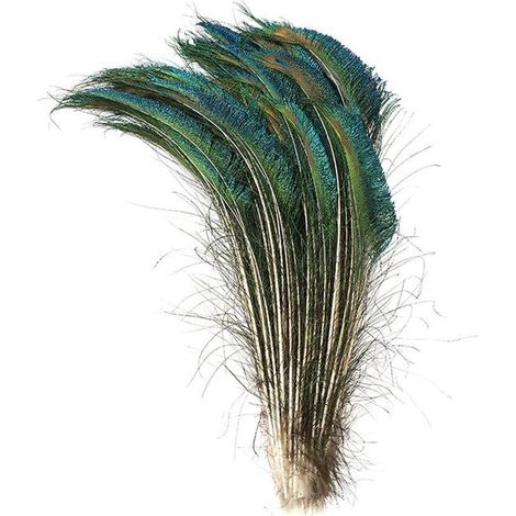 Plumes : Plumes de paon épée (10 + 1 gratuite) (1/2)