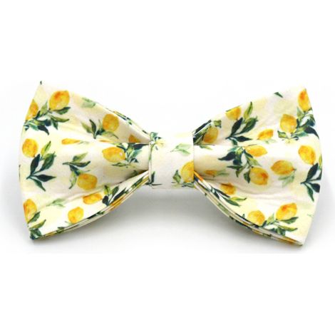 Collier de chien avec laisse, M, coton à imprimé floral et fruité, boucle dorée ajustable, jaune citron (1/2)