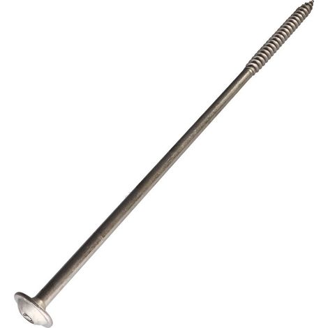 Vis charpente tête disque Inox A2 8X250 Filetée sur 80 TORX T40 Diamètre de tête: 20-1 pièce