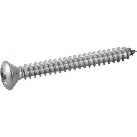 Viti Acton 624113 acciaio inox 3,5x22 mm 200 pezzi (1/2)