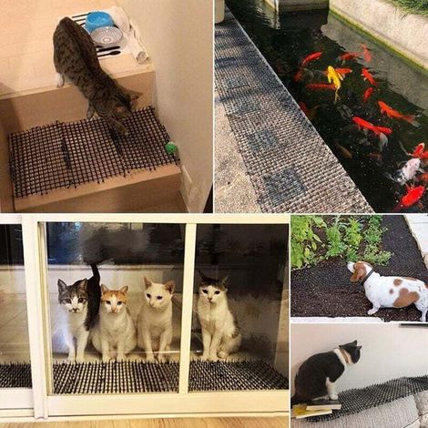 Tapis Anti-Chat avec Pointes Chien Chat Scat Spike Mat Grille Tapis Anti-Chiens De Dissuasion Pointes Répulsif Dissuasif avec 8 Piquets en Métal pour Canapé Murs Intérieur Extérieur 45cm4M (1/3)