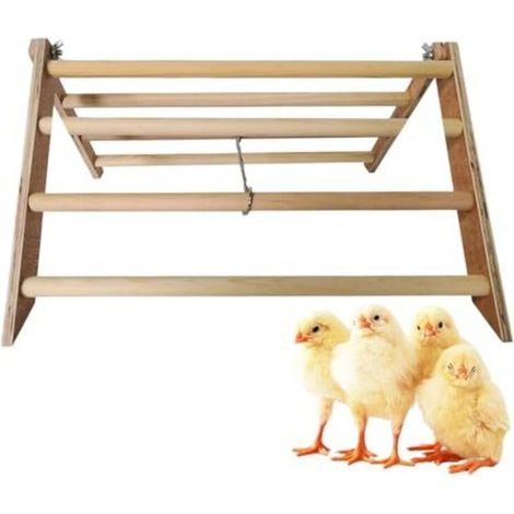 Posatoio interattivo in legno per galline, pappagalli e ara – 37 x 32 x 20 cm, leggero e robusto, attrezzo ginnico per uccelli