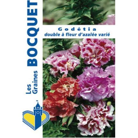 Godétia double à fleur d'Azalée en mélange le sachet de 1700 graines (1g) (1/2)