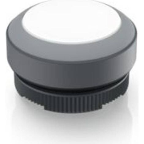 RAFI 1.30.270.001/2208 RAFIX 22 FS Pulsante illuminato Momentaneo (L x L x A) 29.8 x 29.8 x 18.5 mm 1 pz.