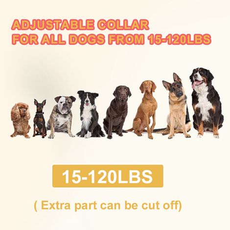Clôture électronique sans fil 2 en 1 pour 3 chiens, étanche, réglable jusqu'à 800 pieds, électrique, anti-aboiement, collier de dressage rechargeable, choc pour chien de grande taille M (1/5)