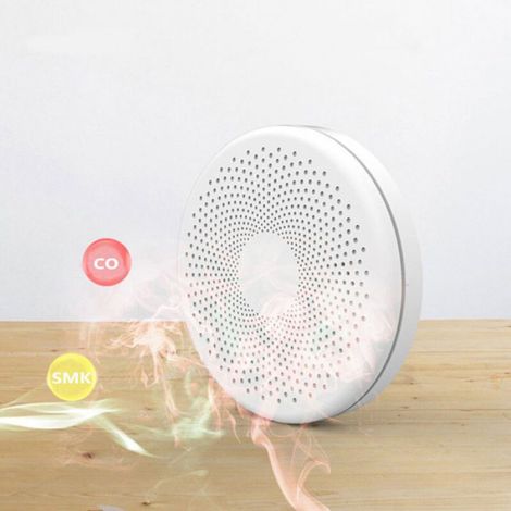 Détecteur Fumée Monoxyde De Carbone - Wi-Fi 2,4 GHz - Pour Maison École Hôtel - 1 Pièce (1/5)