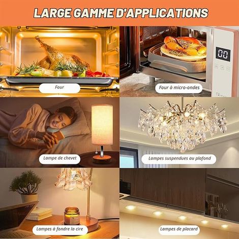Ampoule de Four G9 40W 300 Degrés 230V Ampoule Dimmable Blanc Chaud 2800K 480LM G9 Lampes pour Four Micro-Ondes Plafonnier Eclairage D'armoire