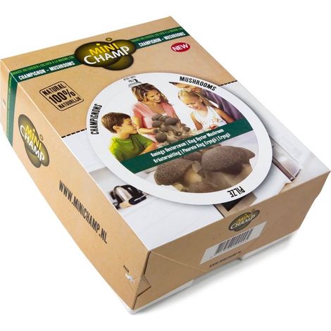 Kit culture champignons bruns Minichamp 7.5 litres