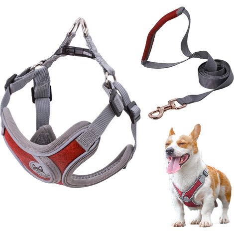 Arrêt de Porte Magnétique, Butoir de Porte en Acier Inoxydable avec Ruban Adhésif Double Face 3M ou Vis - Inutile de Forage / forage Double usage 2Pcs Argent (1/5)
