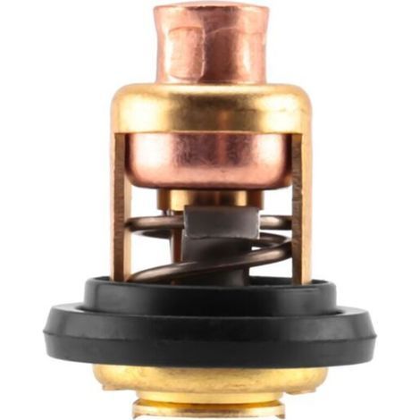 5005440 8330720 777260 Termostato per motori marini Evinrude (1/4)