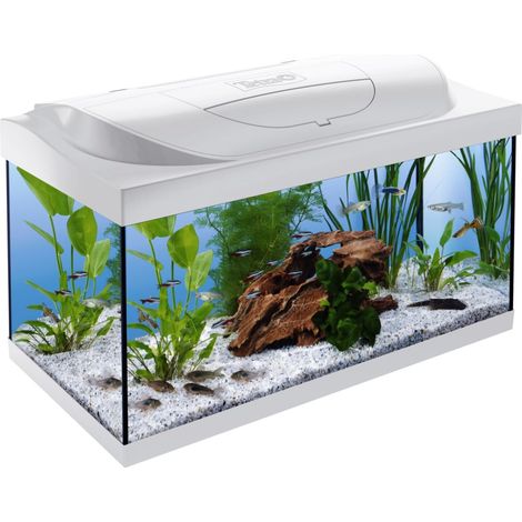 Tetra Aquarium Starter Line LED 54 L weiß Aquarium