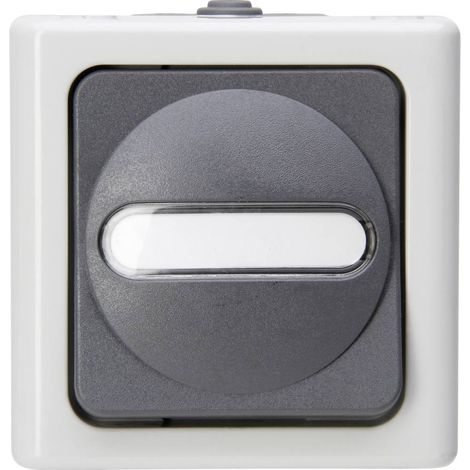 Kopp 560656006 1 pezzo Interruttore per ambienti umidi Completo Interruttore, Commutatore BlueElectric Grigio 1 pz.