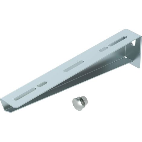 OBO Bettermann Mensola a parete e montante con vite di fissaggio M10x25 B310mm Acciaio zincato a nastro, 6424740