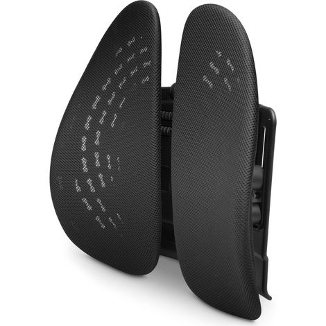 Soutien Lombaire - Coussin Adapté - Ergonomie, Hauteur Ajustable, Soulagement de la Sciatique, Pour la Voiture ou la Chaise de Bureau (K60412WW) (1/5)