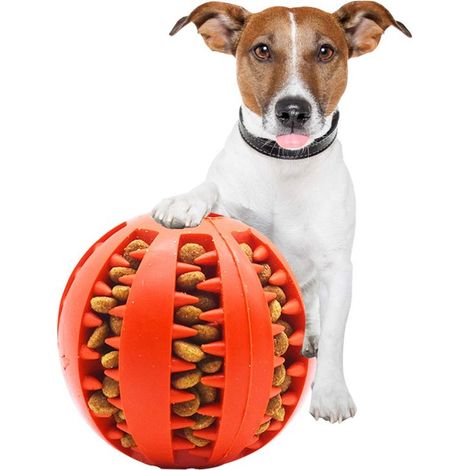Pelota masticable duradera para perros: dispensador de comida resistente a las mordeduras y limpiador de dientes (1/5)