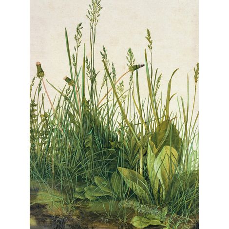 Papier peint panoramique plante vert & beige | Tapisserie panoramique fleur & herbe pour cuisine | Papier peint panoramique pour cage d'escalier - 192 X 260 cm (4 pièces) (1/2)