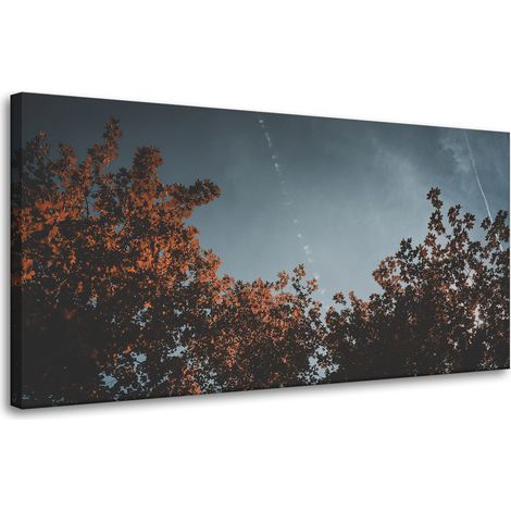 Leinwanddruck Orangenbaumkronen 80x40
