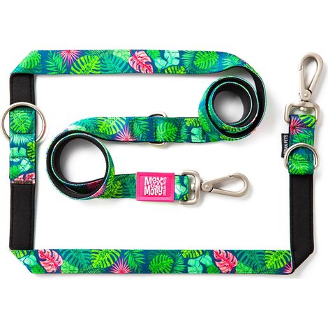 Laisse Multifonction pour Chien 2 m avec 2 mousquetons, Laisse Tropical/XS rembourrée, sûre et Flexible – Confort pour Votre fidèle Compagnon (1/5)
