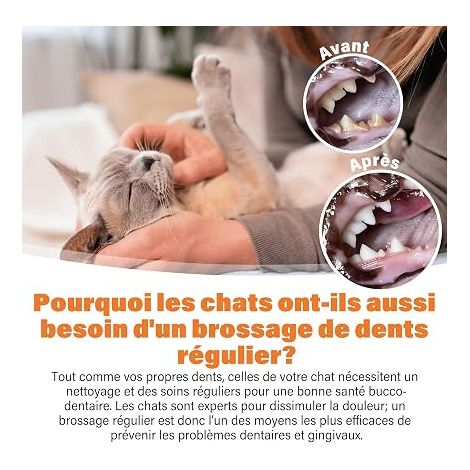 Kit de soins dentaires, dentifrice goût saumon (1/3)