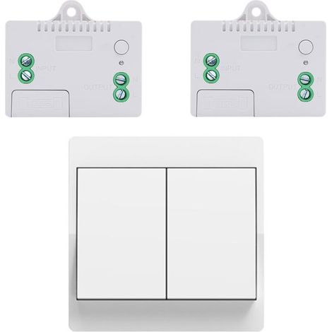 [NIEMALS VERWENDET] EU-Funkschalter-Set, batterielos, selbstversorgender drahtloser Zweiwegeschalter, drahtloser Funkfernbedienungsschalter für die Heimbeleuchtung (EU 2-fach 1V2A)