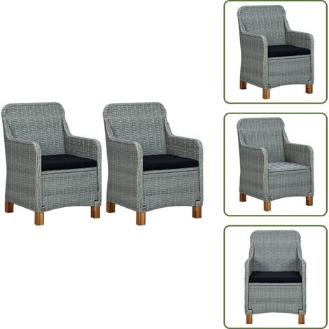 Chaises de jardin avec coussins lot de 2 Résine tressée - Chaise De Jardin - Meubles De Jardin - Mobilier De Jardin - Chaise Confortable - Fauteuil De Jardin (1/5)