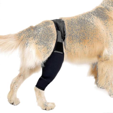 Hunde-Rehabilitationsärmel, Unterstützung für Vorder- und Hinterbeine, Schmerzlinderung und Verstauchungsbehandlung – Größe M – Schwarz