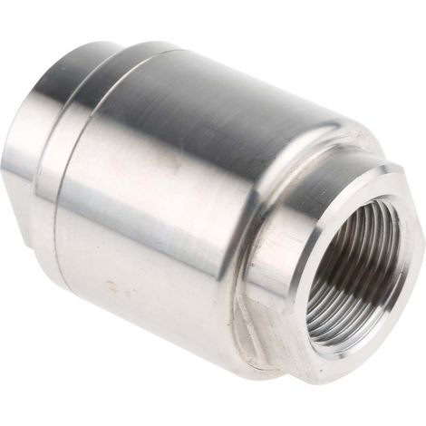 Clapet antiretour en Acier inoxydable RS PRO BSP 3/4" ( Prix pour 1 ) (1/3)