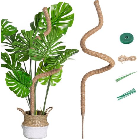 1 - Tuteur Plante - Fibre De Coco - Piquet Pliable 7mm Pour Croissance Verticale Monstera Jardin Intérieur Et Extérieur Marron 160cm
