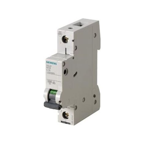 Interruttore Magnetotermico 230/400 V 6Ka, A 1 Polo C, 1,6 A Esecuzione Italia, 1PC1.6
